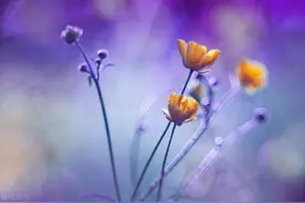 小人恶人没有底线，没关系，你也没有底线的还回去就可以了图片