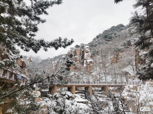 雪后崂山上演冬日浪漫