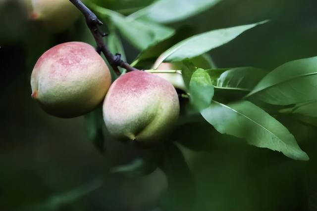 氛围感拉满！集安的秋天，藏着最治愈的人间烟火