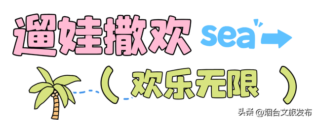 【乐游烟台】夏日顶流！烟台这座神仙小城也太会拿捏松弛感了