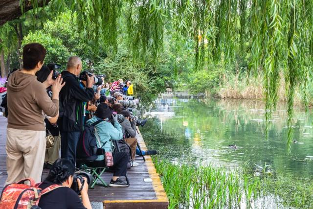 你的十二时辰,玄武湖承包了多少?