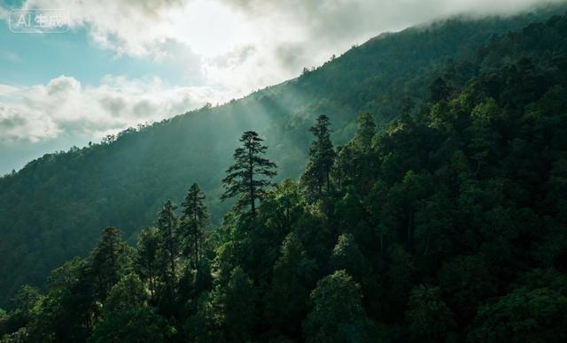 两性关系，女生发“嗯嗯”是什么意思，男人一定要懂
