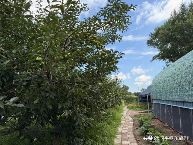 乡土印象：藏在炊烟里的民宿故事