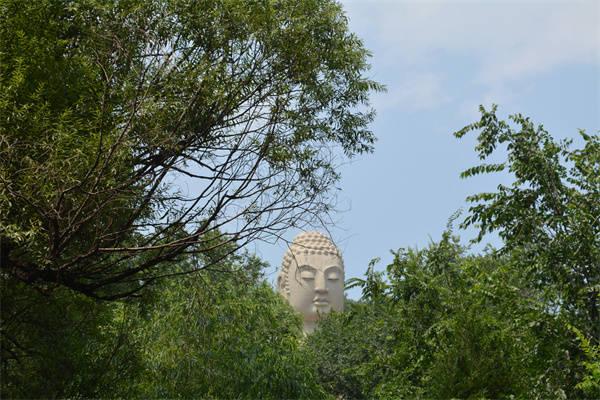 山水蒙山、 生态蒙山、 清凉蒙山、 旅游人气旺！