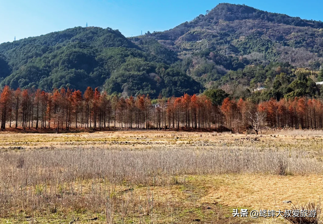 被誉“浙江小伊犁”的人工湖亮了，超级治愈，免费且能拍电影大片