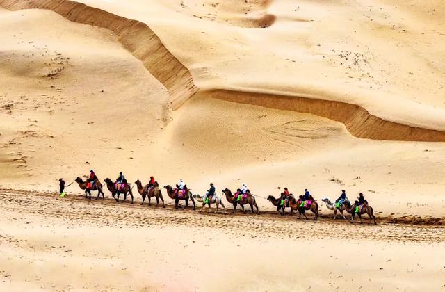 内蒙:雄伟壮观的额济纳沙漠!