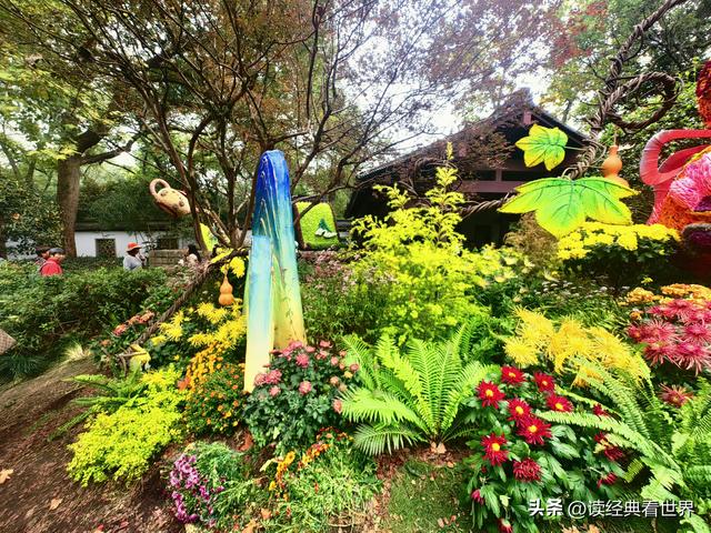 杭州植物园的菊花展——一场关于菊花的饕餮盛宴（二）