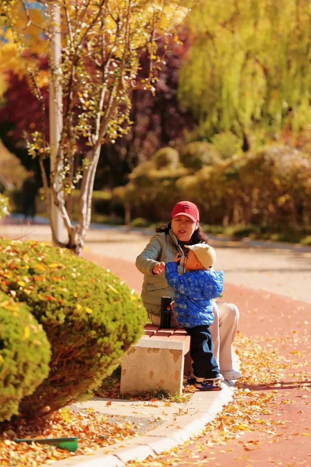 什么？日照这里有一群“小精灵”？！