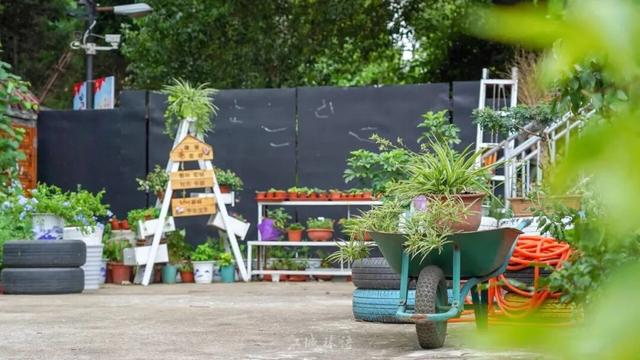 来汉口 逛江汉 解锁四季常新的江汉之美