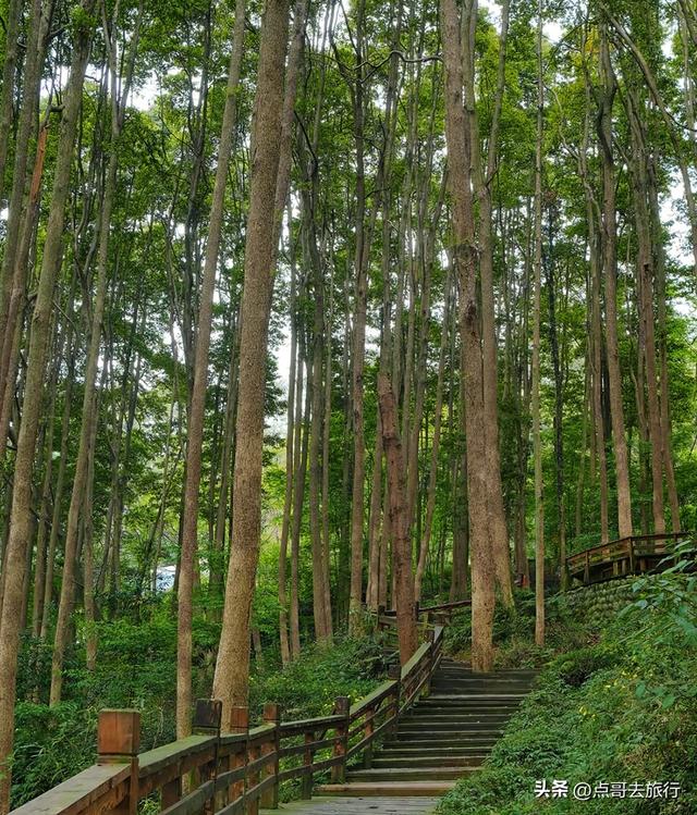 成都都江堰钻石徒步线路，都不要门票，360度观景台，让人惊叹！