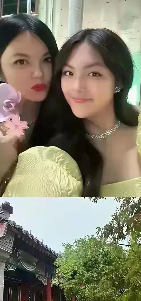 李湘在平台晒自家北京小院，大到让网友以为是景区，真的太有钱了
