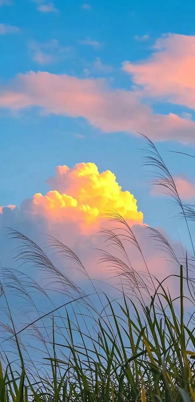 #治愈系 #日出美景 #海边日出