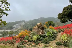 厦门植物园要这么玩，轻松不走回头路，精华景点不错过图片