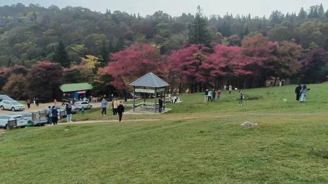 国庆假期第一天 白山文旅活动精彩纷呈