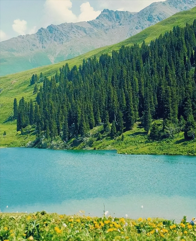 月薪8000留不住人，牧民靠万亩草场维生，新疆的上限下限超乎想象