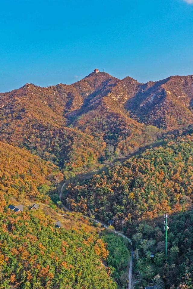 拾一片红叶，藏一季秋光，共赏威海秋日限定美景