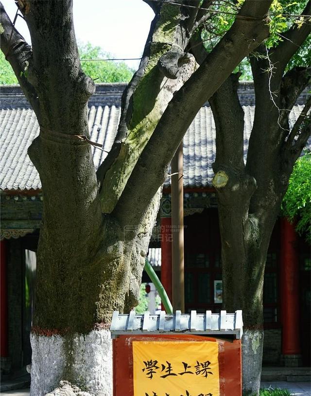 隐于西安闹市的神秘古建筑，终于对外开放了！强烈推荐来逛逛