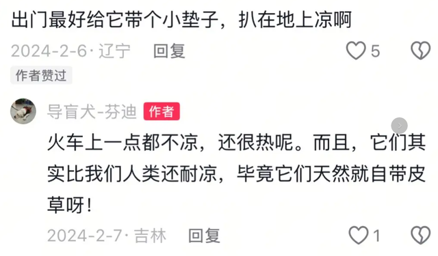 爬泰山的作死夫妻被制裁！导盲犬被收回，身份被扒，家里还有一只