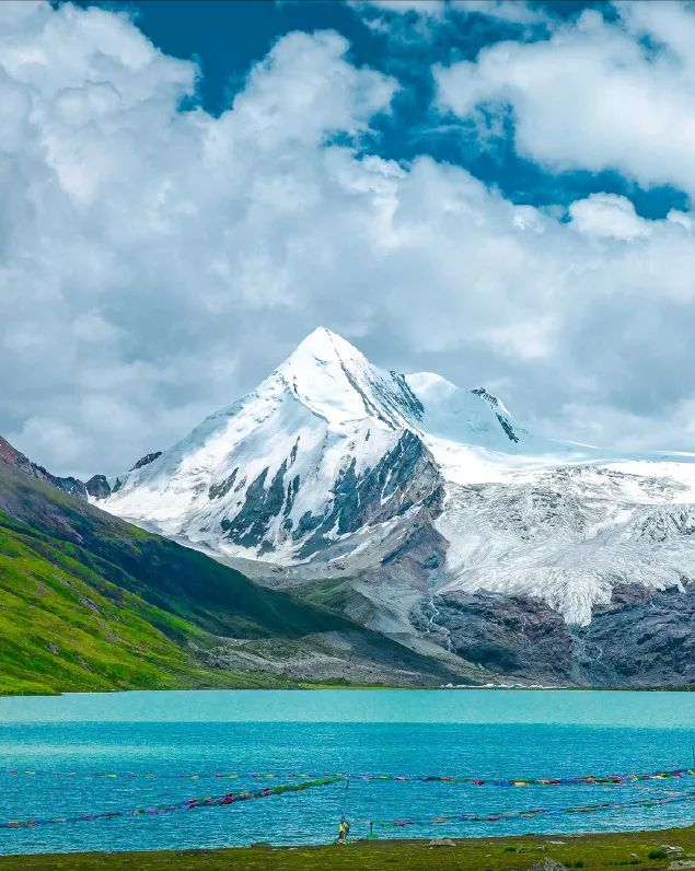 极地那曲不仅美在雪山湖泊，更美在每一棵生机盎然的树