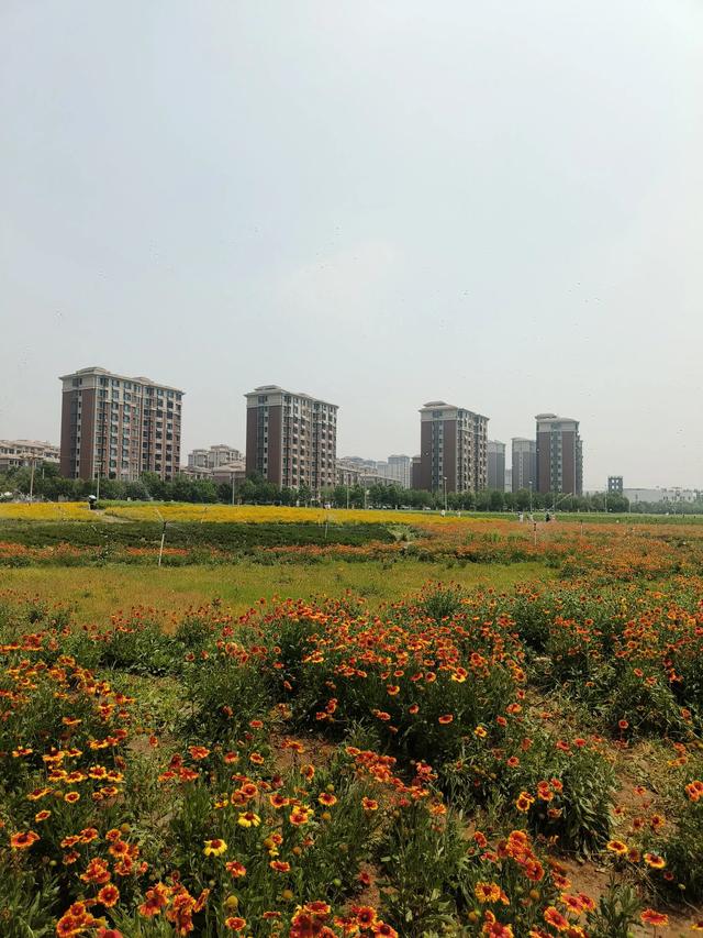 天津又一新建的公园~《山水花苑》