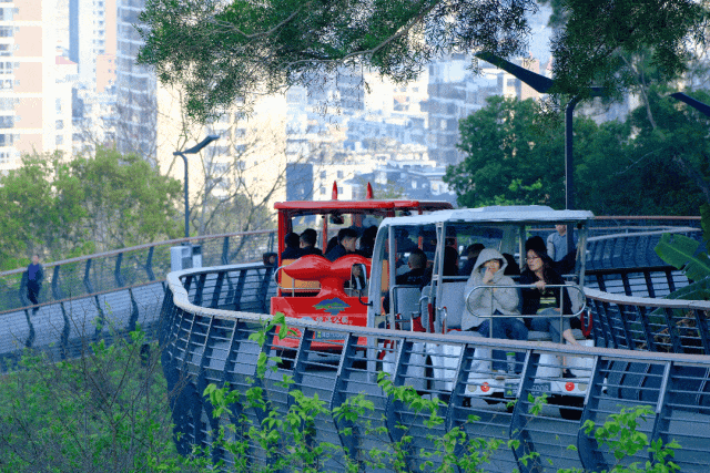 负氧离子爆表！绶溪荔林、郊野溪谷、莆阳福道，解锁莆田 “森” 呼吸新方式