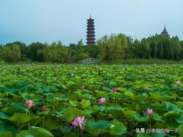 走进江苏省宿迁市