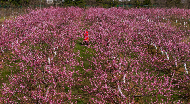看不完，根本看不完！