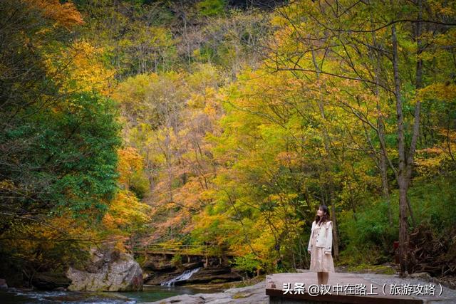 汉中这处红叶已进入最佳观赏期