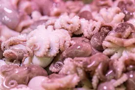 八爪鱼，煮熟嚼不动？老渔民指出错误，教你2个技巧，鲜香脆嫩图片