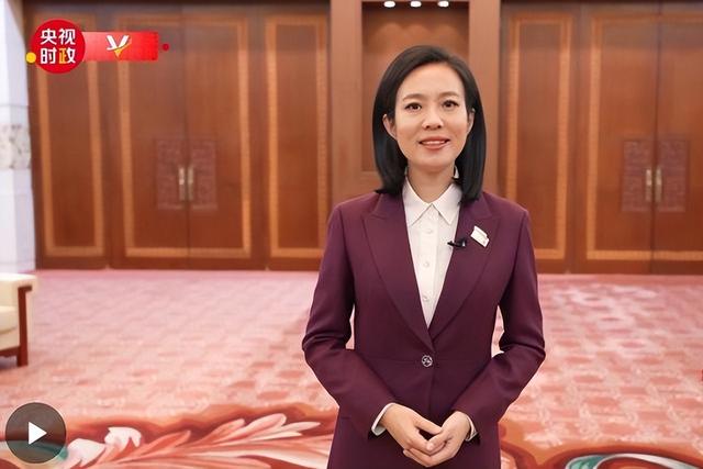 九三阅兵解说员揭晓，原来是他们两位，都是央视知名主持人