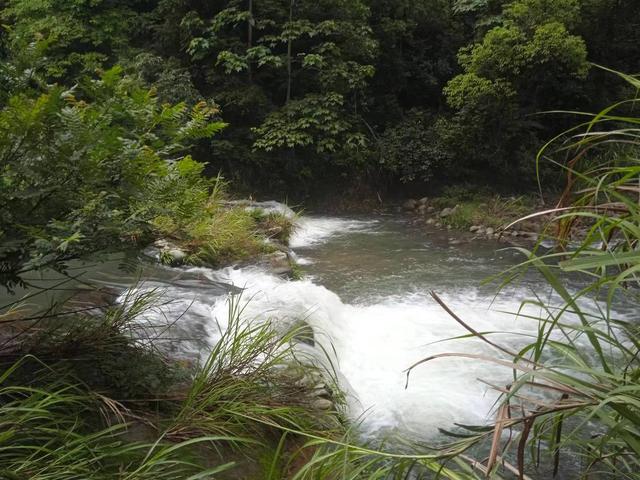 端阳喜伴小溪河，独有诗心迷远足——徒步小溪河散记（三）