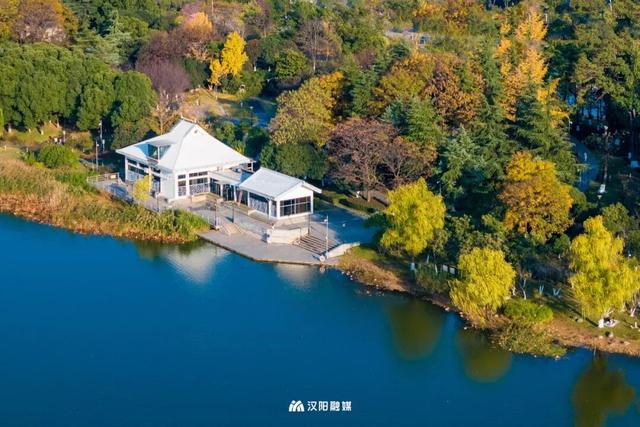 武汉城中心的彩叶秘境，在汉阳藏不住了！