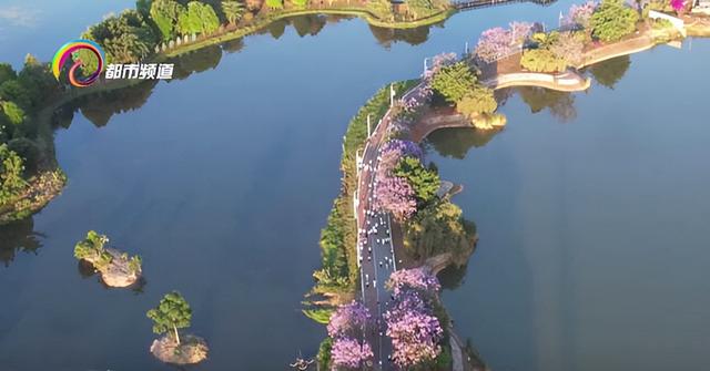 异龙湖环湖线路入选全国百条精品骑行路线