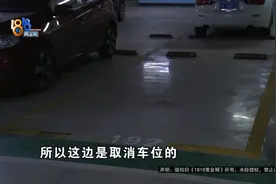 新来的“邻居”，叫作“乌龙”？图片
