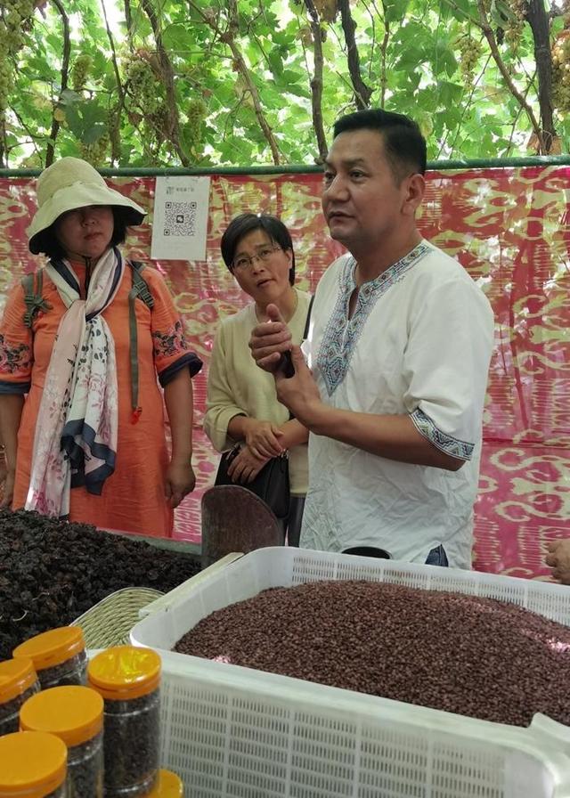 游新疆吐鲁番的坎儿井和葡萄沟