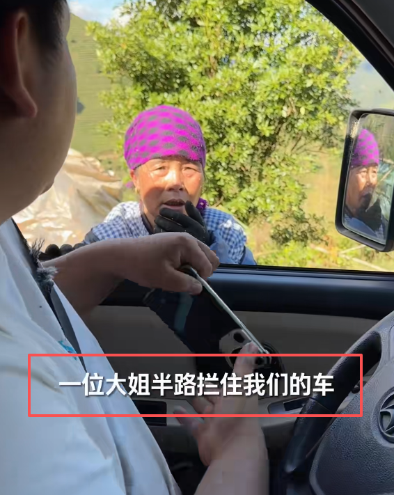 云南大姨被蜜蜂狂蜇，满脸蜂刺求助，过路司机惊呆，网友直呼惊险