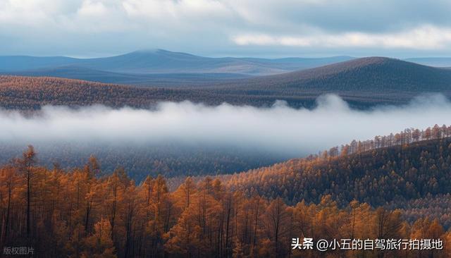 9 地秋日赏秋实测攻略！附最佳时间 + 落地玩法，收藏直接走