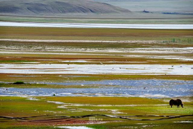 库拉岗日，“戏”真多！