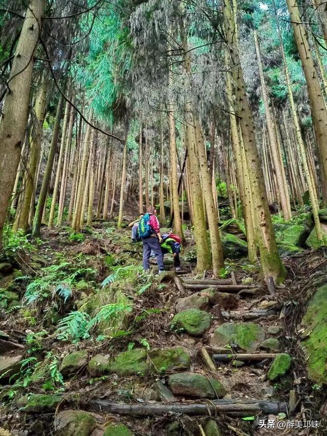 期待！邛崃市IMTA全域户外徒步道建设正式启动！