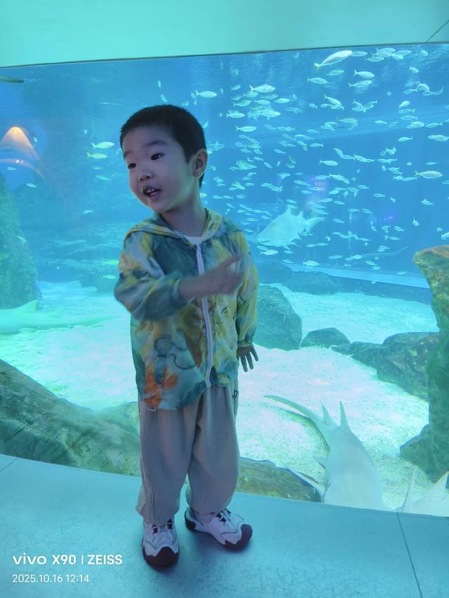 成都 极地海洋公园（58）2025年10月16日