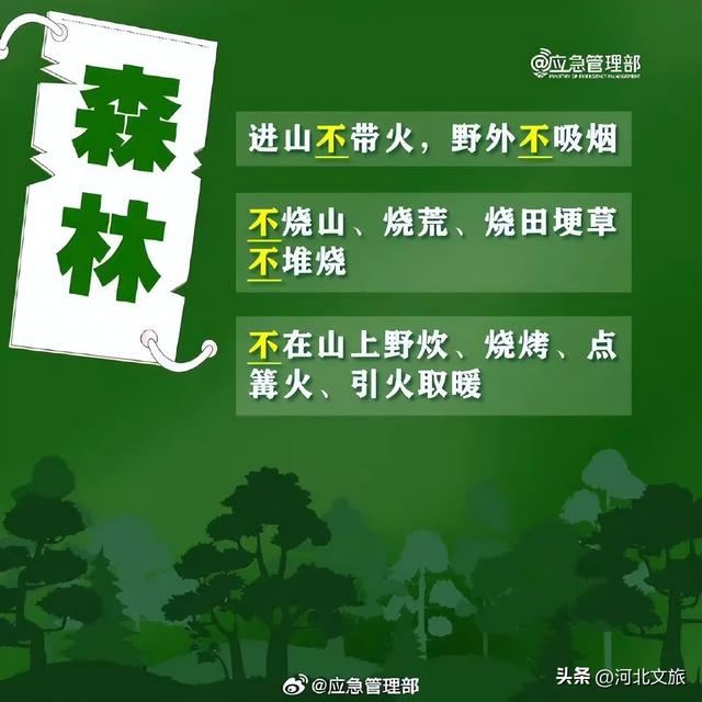 景区打卡，这些攻略你得“码”住→