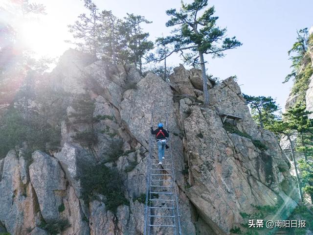 西峡老界岭：假期四大主题活动重磅来袭！