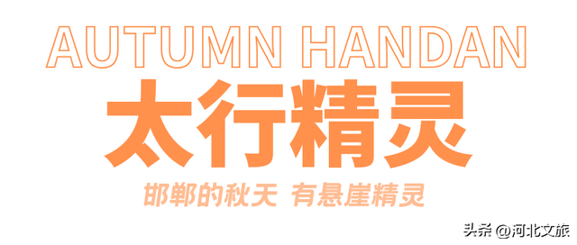 邯郸，你别太好逛了！