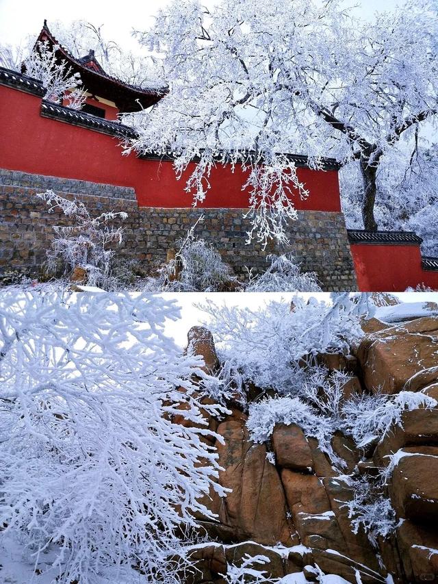 一次门票钱，免费一整年！潍坊5A级景区惠民年卡上线！