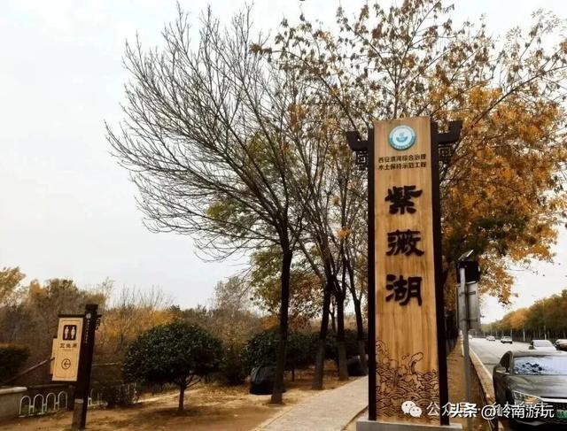 全部免费！渭河南河堤路赏秋攻略大全，那风景简直美爆了！