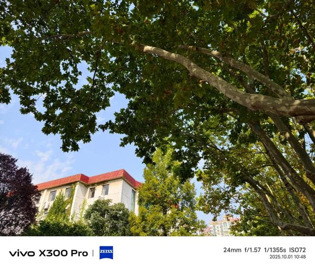 vivo X300系列评测：同级巅峰影像 出片易如反掌