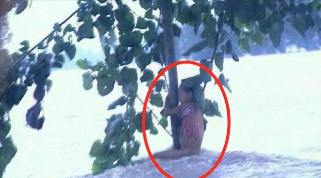 98年特大洪水，那个紧抱大树9小时的7岁女孩	，如今已经当官了