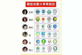 一张图看懂合肥小学的不同段位，你家的小学是啥段位？图片