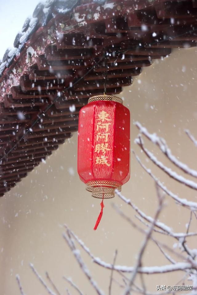 【今日立冬】秋景仍在，东阿中医药文化旅游区邀您共赴赏景之旅！