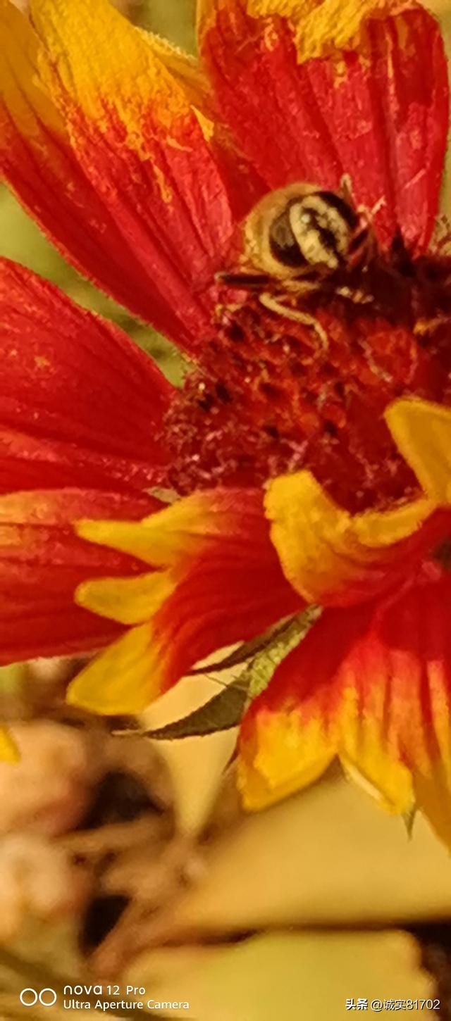 情怕骗，心怕伤，爱怕哄骗	，信任怕伤害